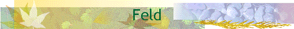 Feld